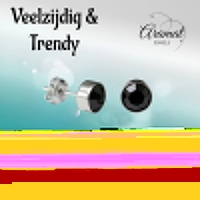 Oorstekers &acirc;&euro;&ldquo; Staal Kristal Zwart Zilverkleur (8mm) -