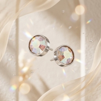 Oorstekers &acirc;&euro;&ldquo; Staal Kristal AB Transparant Zilverkleur (8mm) -