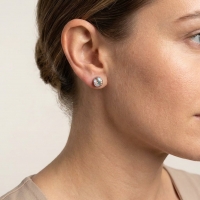 Oorstekers &acirc;&euro;&ldquo; Staal Kristal AB Transparant Zilverkleur (8mm) -