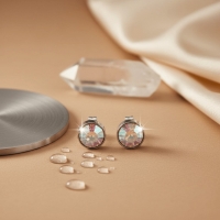Oorstekers &acirc;&euro;&ldquo; Staal Kristal AB Transparant Zilverkleur (8mm) -