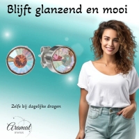 Oorstekers &acirc;&euro;&ldquo; Staal Kristal AB Transparant Zilverkleur (8mm) -