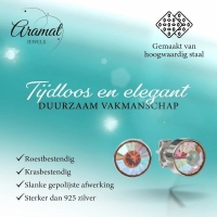 Oorstekers &acirc;&euro;&ldquo; Staal Kristal AB Transparant Zilverkleur (8mm) -