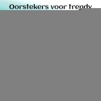 Oorstekers &acirc;&euro;&ldquo; Staal Kristal AB Transparant Zilverkleur (8mm) -