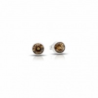 Oorstekers &acirc;&euro;&ldquo; Staal Kristal Bruin Zilverkleur (8mm) -