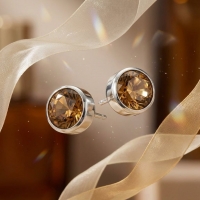 Oorstekers &acirc;&euro;&ldquo; Staal Kristal Bruin Zilverkleur (8mm) -