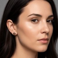 Oorstekers &acirc;&euro;&ldquo; Staal Kristal Bruin Zilverkleur (8mm) -
