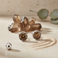Oorstekers &acirc;&euro;&ldquo; Staal Kristal Bruin Zilverkleur (8mm) -