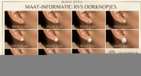 Oorstekers &acirc;&euro;&ldquo; Staal Kristal Bruin Zilverkleur (8mm) -
