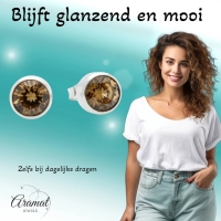Oorstekers &acirc;&euro;&ldquo; Staal Kristal Bruin Zilverkleur (8mm) -
