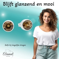 Oorstekers &acirc;&euro;&ldquo; Staal Kristal Bruin Zilverkleur (8mm) -