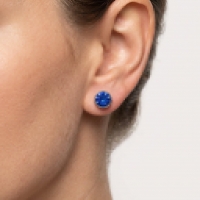 Oorstekers &acirc;&euro;&ldquo; Staal Kristal Donker Blauw Zilverkleur (7mm) -