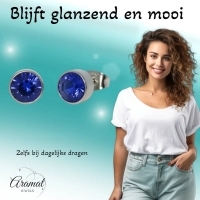 Oorstekers &acirc;&euro;&ldquo; Staal Kristal Donker Blauw Zilverkleur (7mm) -