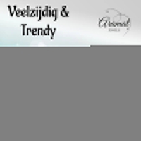 Oorstekers &acirc;&euro;&ldquo; Staal Kristal Rood Zilverkleur (7mm) -