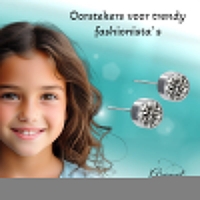Oorstekers &acirc;&euro;&ldquo; Staal Kristal Grijs Zilverkleur (6mm) -
