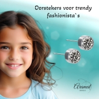 Oorstekers &acirc;&euro;&ldquo; Staal Kristal Grijs Zilverkleur (6mm) -