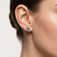 Oorstekers &acirc;&euro;&ldquo; Staal Kristal Grijs Zilverkleur (6mm) -