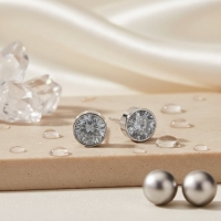 Oorstekers &acirc;&euro;&ldquo; Staal Kristal Grijs Zilverkleur (6mm) -