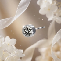 Oorstekers &acirc;&euro;&ldquo; Staal Kristal Grijs Zilverkleur (6mm) -
