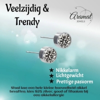 Oorstekers &acirc;&euro;&ldquo; Staal Kristal Grijs Zilverkleur (6mm) -
