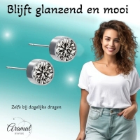 Oorstekers &acirc;&euro;&ldquo; Staal Kristal Grijs Zilverkleur (6mm) -