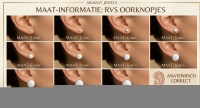 Oorstekers &acirc;&euro;&ldquo; Staal Kristal Grijs Zilverkleur (6mm) -