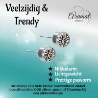Oorstekers &acirc;&euro;&ldquo; Staal Kristal Grijs Zilverkleur (6mm) -