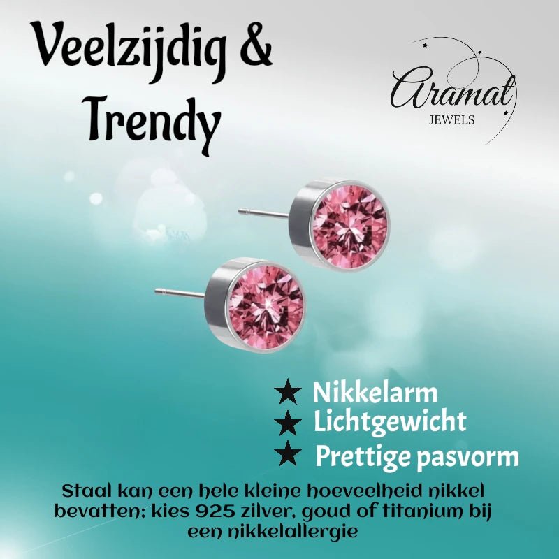 Oorstekers &acirc;&euro;&ldquo; Staal Kristal Roze Zilverkleur (6mm) -