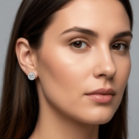Oorstekers &acirc;&euro;&ldquo; Staal Kristal Transparant Zilverkleur (6mm) -