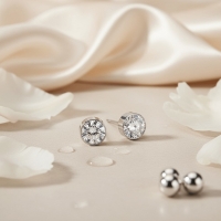 Oorstekers &acirc;&euro;&ldquo; Staal Kristal Transparant Zilverkleur (6mm) -