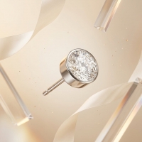 Oorstekers &acirc;&euro;&ldquo; Staal Kristal Transparant Zilverkleur (6mm) -