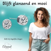 Oorstekers &acirc;&euro;&ldquo; Staal Kristal Transparant Zilverkleur (6mm) -