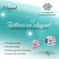 Oorstekers &acirc;&euro;&ldquo; Staal Kristal Transparant Zilverkleur (6mm) -