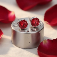 Oorstekers &acirc;&euro;&ldquo; Staal Kristal Rood Zilverkleur (6mm) -