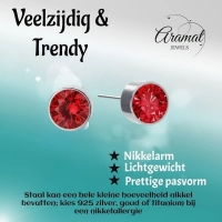 Oorstekers &acirc;&euro;&ldquo; Staal Kristal Rood Zilverkleur (6mm) -