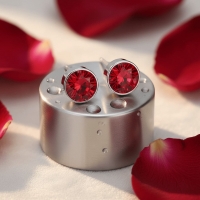 Oorstekers &acirc;&euro;&ldquo; Staal Kristal Rood Zilverkleur (6mm) -
