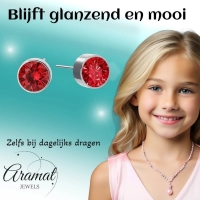 Oorstekers &acirc;&euro;&ldquo; Staal Kristal Rood Zilverkleur (6mm) -