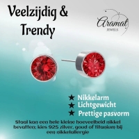 Oorstekers &acirc;&euro;&ldquo; Staal Kristal Rood Zilverkleur (6mm) -