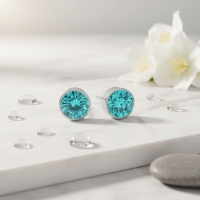Oorstekers &acirc;&euro;&ldquo; Staal Kristal Aqua Blauw Zilverkleur (6mm) -