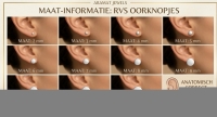 Oorstekers &acirc;&euro;&ldquo; Staal Kristal Aqua Blauw Zilverkleur (6mm) -