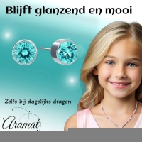 Oorstekers &acirc;&euro;&ldquo; Staal Kristal Aqua Blauw Zilverkleur (6mm) -