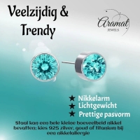 Oorstekers &acirc;&euro;&ldquo; Staal Kristal Aqua Blauw Zilverkleur (6mm) -
