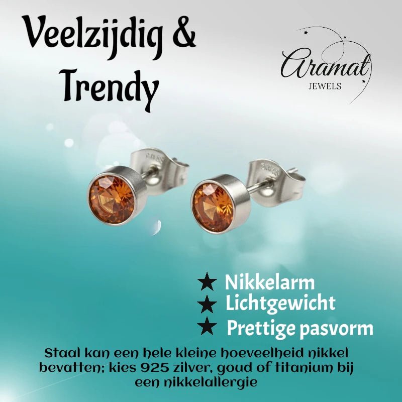 Oorstekers &acirc;&euro;&ldquo; Staal Kristal Oranje Zilverkleur (5mm) -