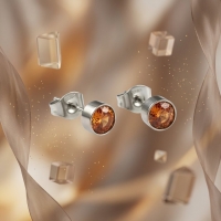 Oorstekers &acirc;&euro;&ldquo; Staal Kristal Oranje Zilverkleur (5mm) -