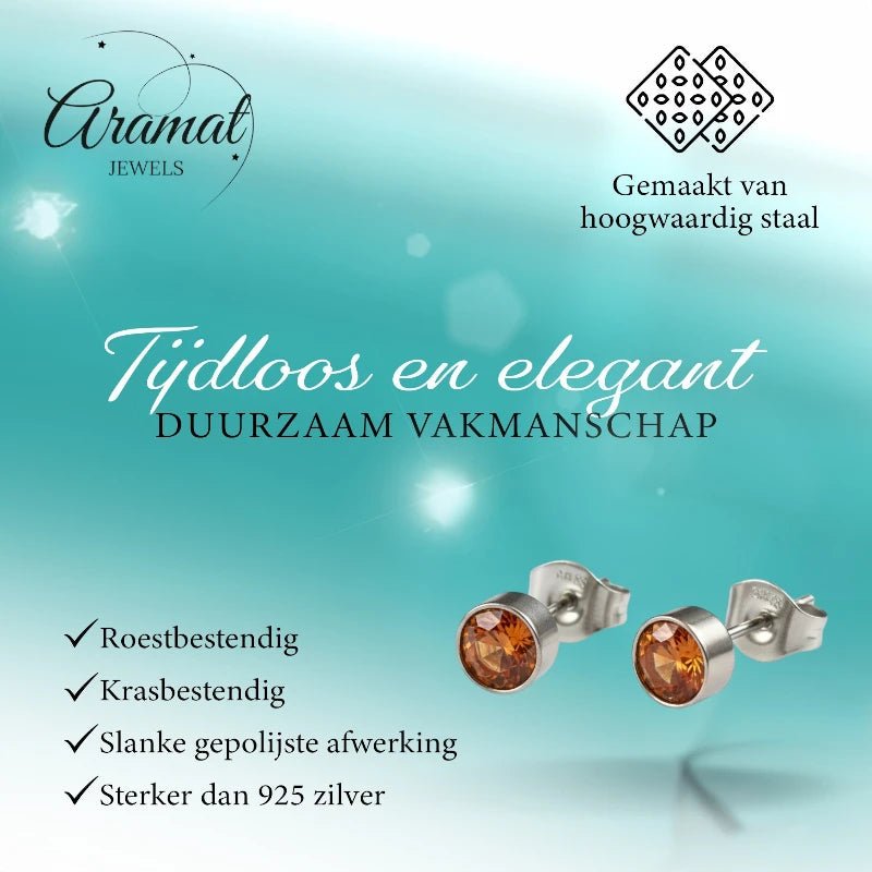Oorstekers &acirc;&euro;&ldquo; Staal Kristal Oranje Zilverkleur (5mm) -