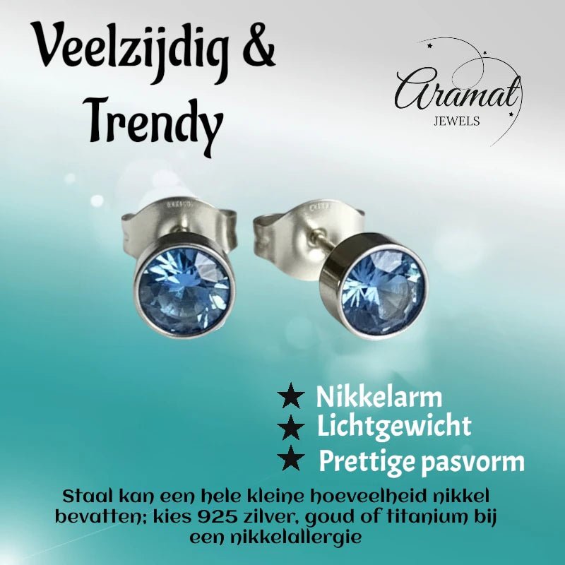 Oorstekers &acirc;&euro;&ldquo; Staal Kristal Blauw Zilverkleur (5mm) -