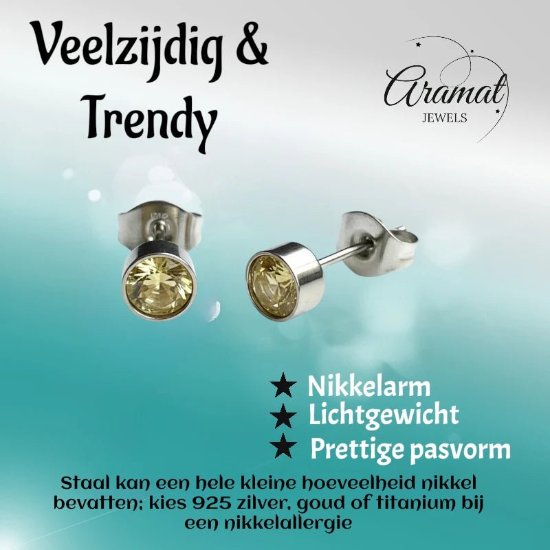 Oorstekers &acirc;&euro;&ldquo; Staal Kristal Geel Zilverkleur (5mm) -
