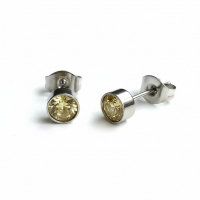 Oorstekers &acirc;&euro;&ldquo; Staal Kristal Geel Zilverkleur (5mm) -