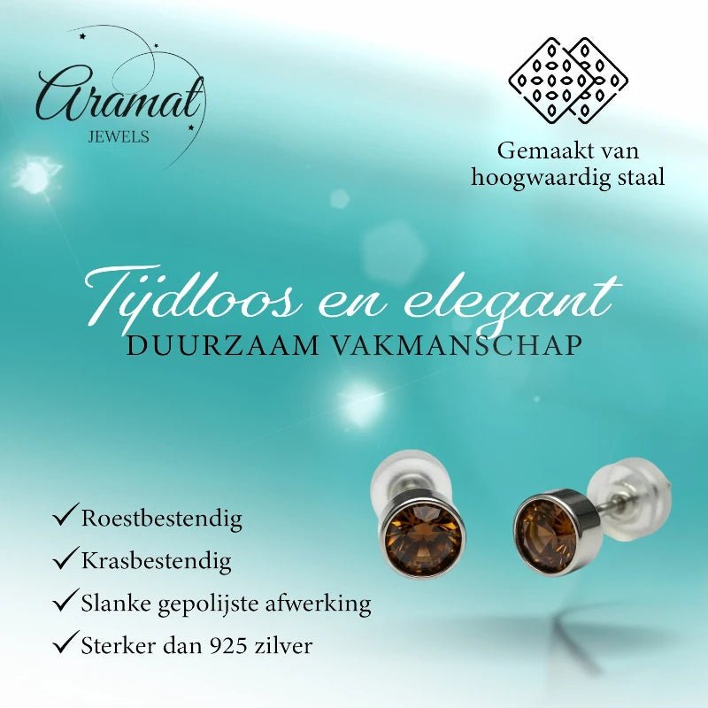 Oorstekers &acirc;&euro;&ldquo; Staal Kristal Bruin Zilverkleur (5mm) -