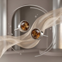 Oorstekers &acirc;&euro;&ldquo; Staal Kristal Bruin Zilverkleur (5mm) -