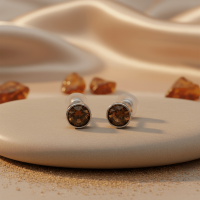 Oorstekers &acirc;&euro;&ldquo; Staal Kristal Bruin Zilverkleur (5mm) -